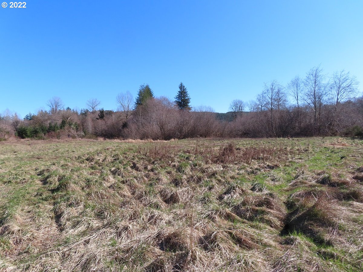 West Schafer Road Elma, WA 98541 - Photo 17 of 25 Gallery Image 17