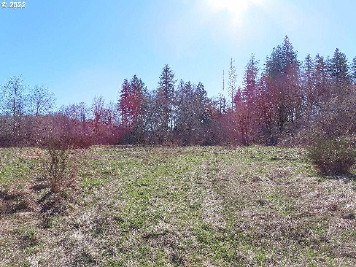 West Schafer Road Elma, WA 98541 - Photo 18 of 25 Gallery Image 18