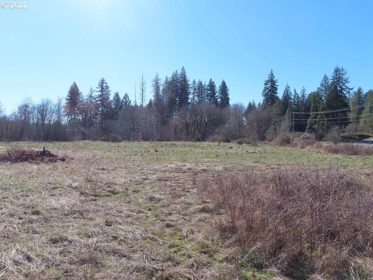West Schafer Road Elma, WA 98541 - Photo 20 of 25 Gallery Image 20