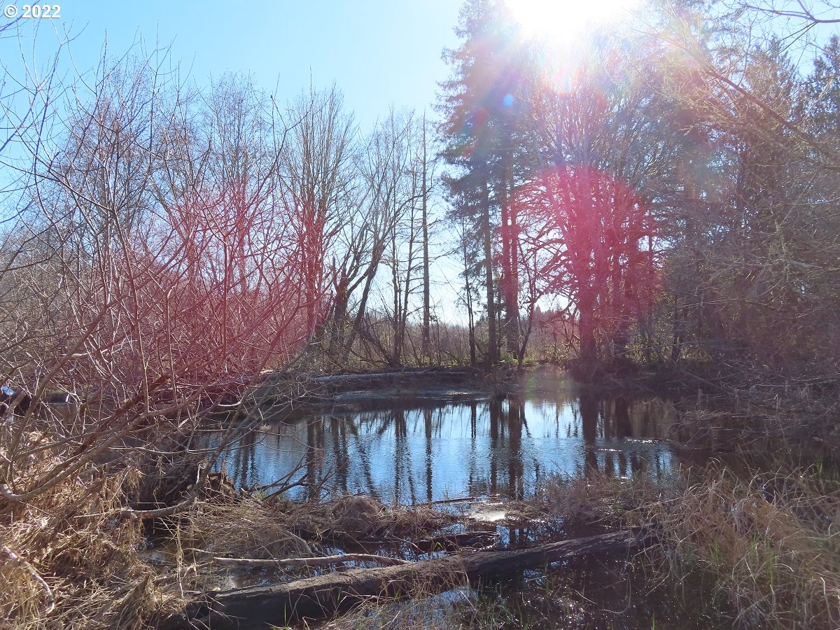 West Schafer Road Elma, WA 98541 - Photo 23 of 25 Gallery Image 23