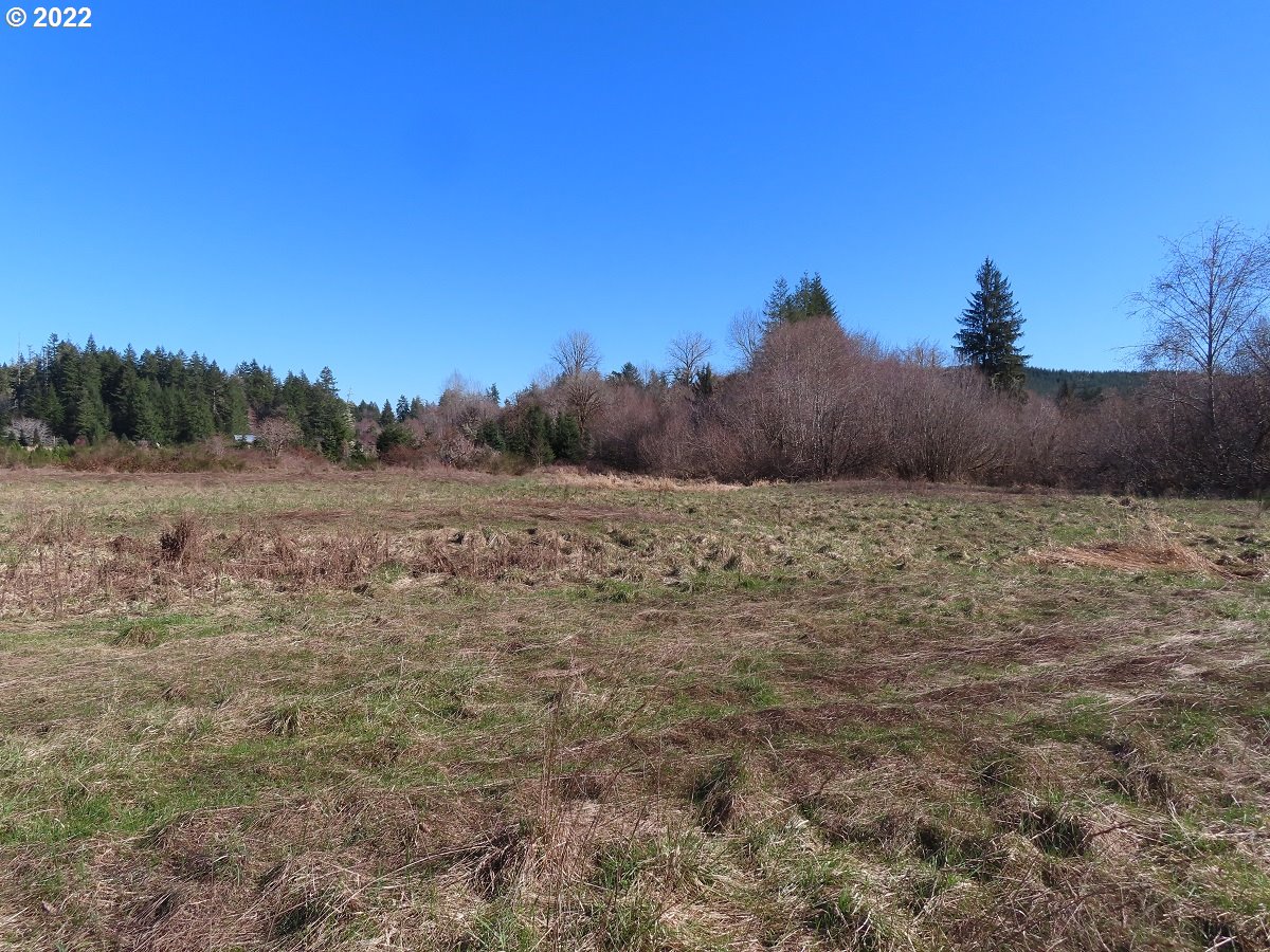West Schafer Road Elma, WA 98541 - Photo 24 of 25 Gallery Image 24