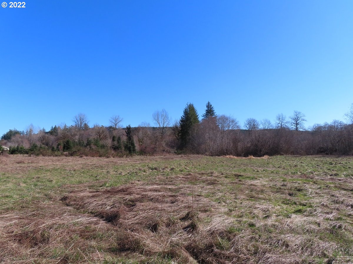 West Schafer Road Elma, WA 98541 - Photo 8 of 25 Gallery Image 8