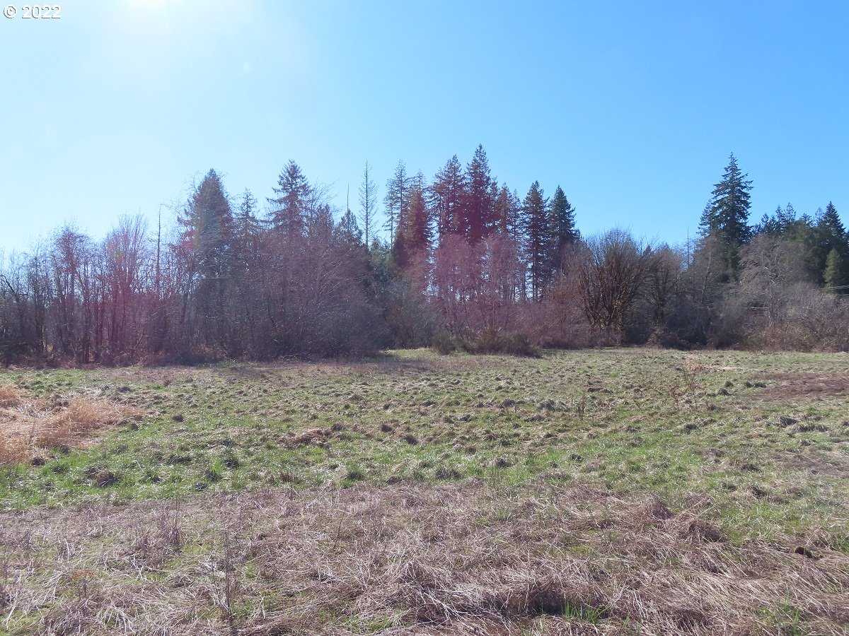 West Schafer Road Elma, WA 98541 - Photo 9 of 25 Gallery Image 9