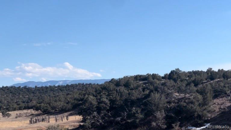 Lot 10 Rice Mountain Way Canon City, CO 81212 - Photo 12 of 18