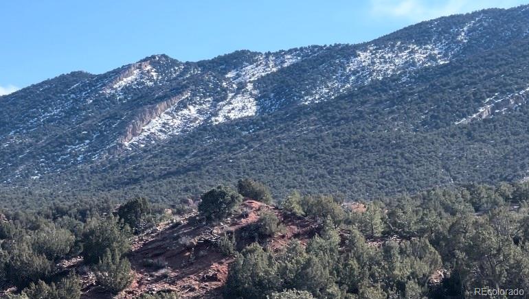 Lot 10 Rice Mountain Way Canon City, CO 81212 - Photo 13 of 18