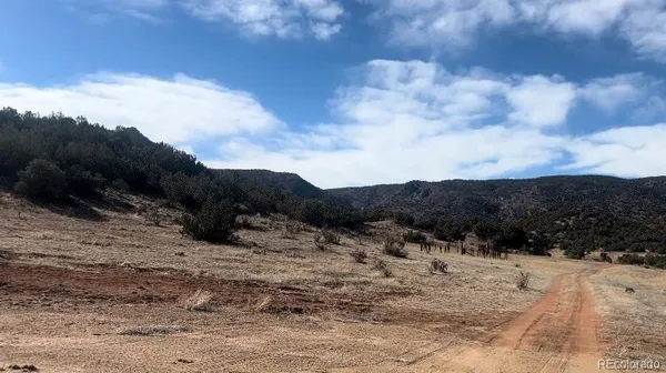 $369,000 | Lot 10 Rice Mountain Way, Canon City, CO 81212