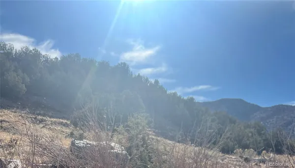$369,000 | Lot 10 Rice Mountain Way, Canon City, CO 81212