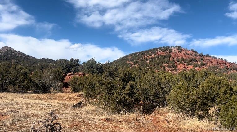Lot 10 Rice Mountain Way Canon City, CO 81212 - Photo 9 of 18