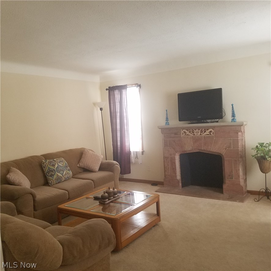 5820 Dunham Road Maple Heights, OH 44137 - Photo 7 of 35 Living room view with beautiful fireplace