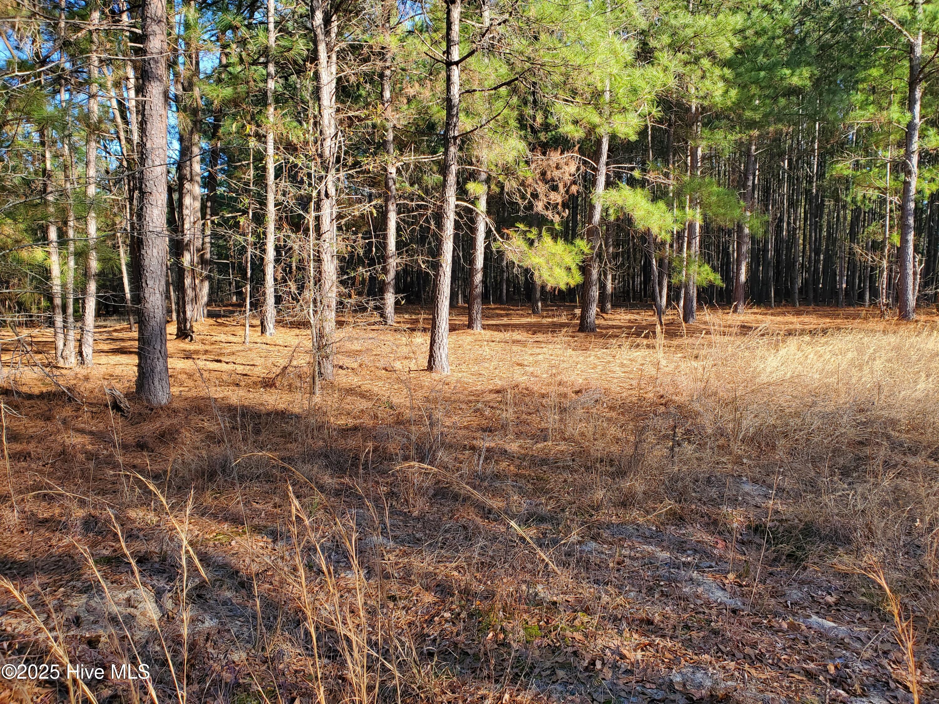 Tbd Crestline Road Laurinburg, NC 28352 - Photo 3 of 11 3