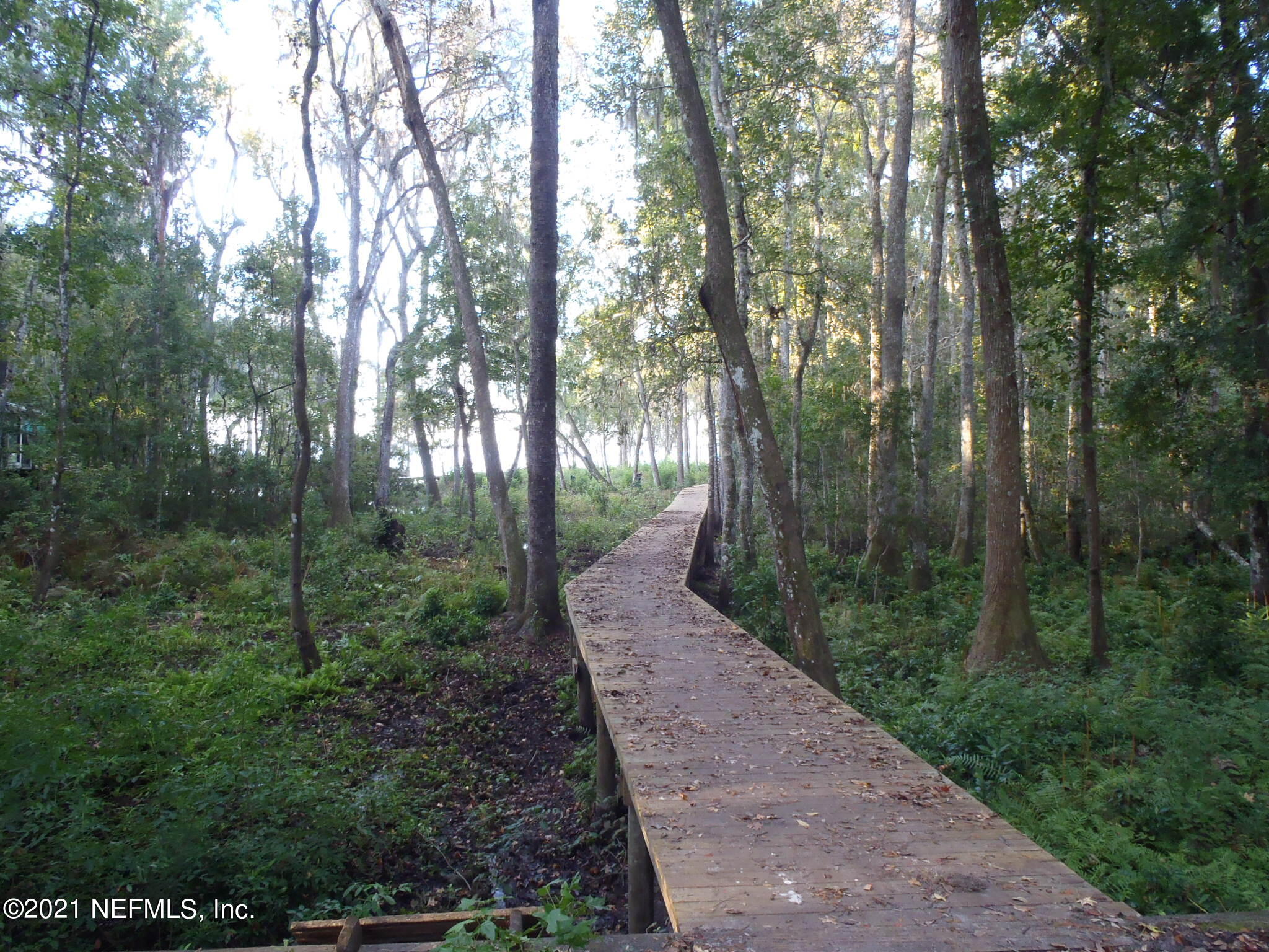 0 Mandarin Road Jacksonville, FL 32223 - Photo 3 of 5 P1010002