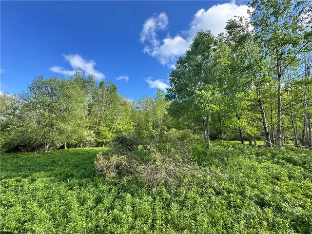 $99,000 | Lot 11 Meadowbrook Drive, Margaretville, NY 12455