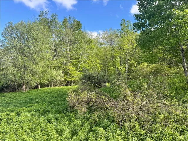 $99,000 | Lot 11 Meadowbrook Drive, Margaretville, NY 12455