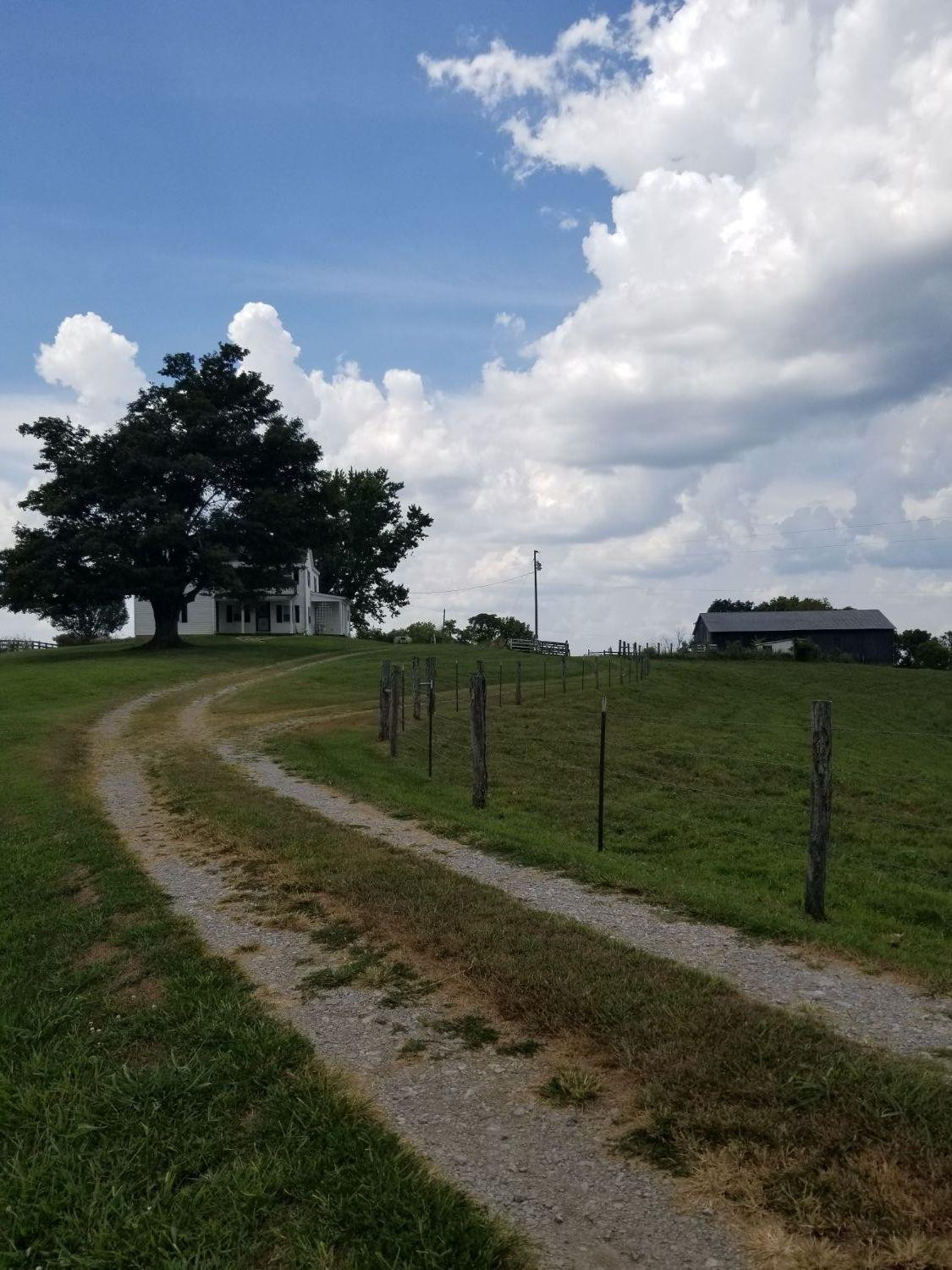8241 Buckeye Road Lancaster, KY 40444 - Photo 39 of 69 Photo 40