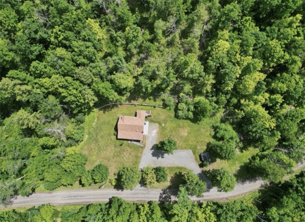 118 Snowburg Road Southport, NY 14871 - Photo 47 of 50 Look at this privacy!!