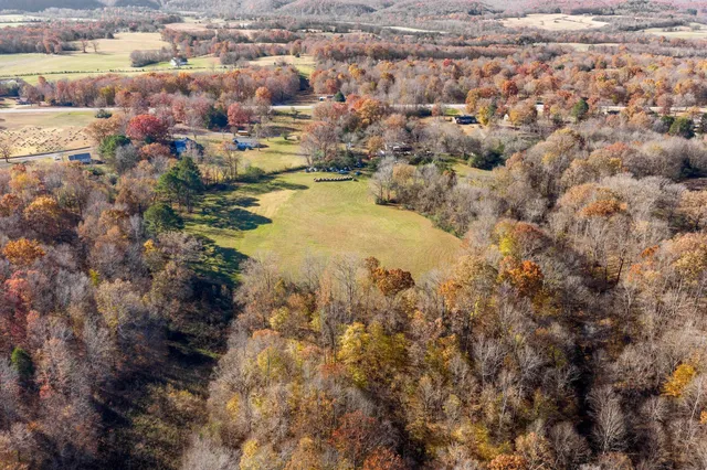a view of a yard with a tree