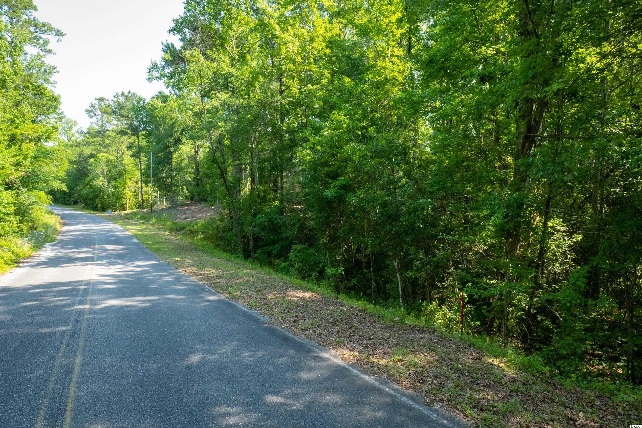 Tbd Francis Marion Drive Georgetown, SC 29440 - Photo 12 of 28