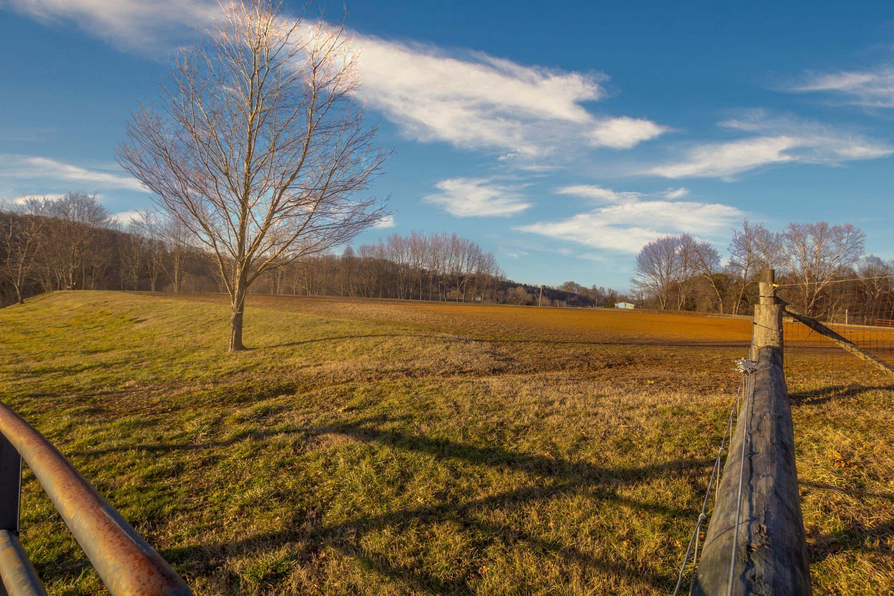 213 Hulse Road Jonesborough, TN 37659 - Photo 83 of 122 Rachel Livingston Listing