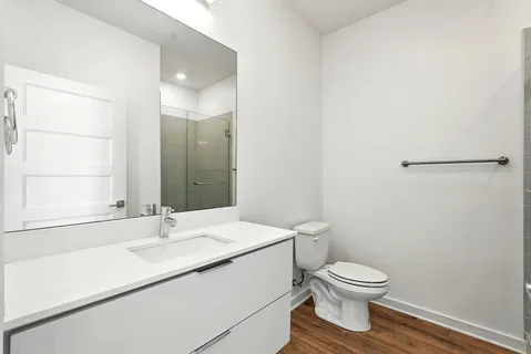 a bathroom with a sink and a toilet
