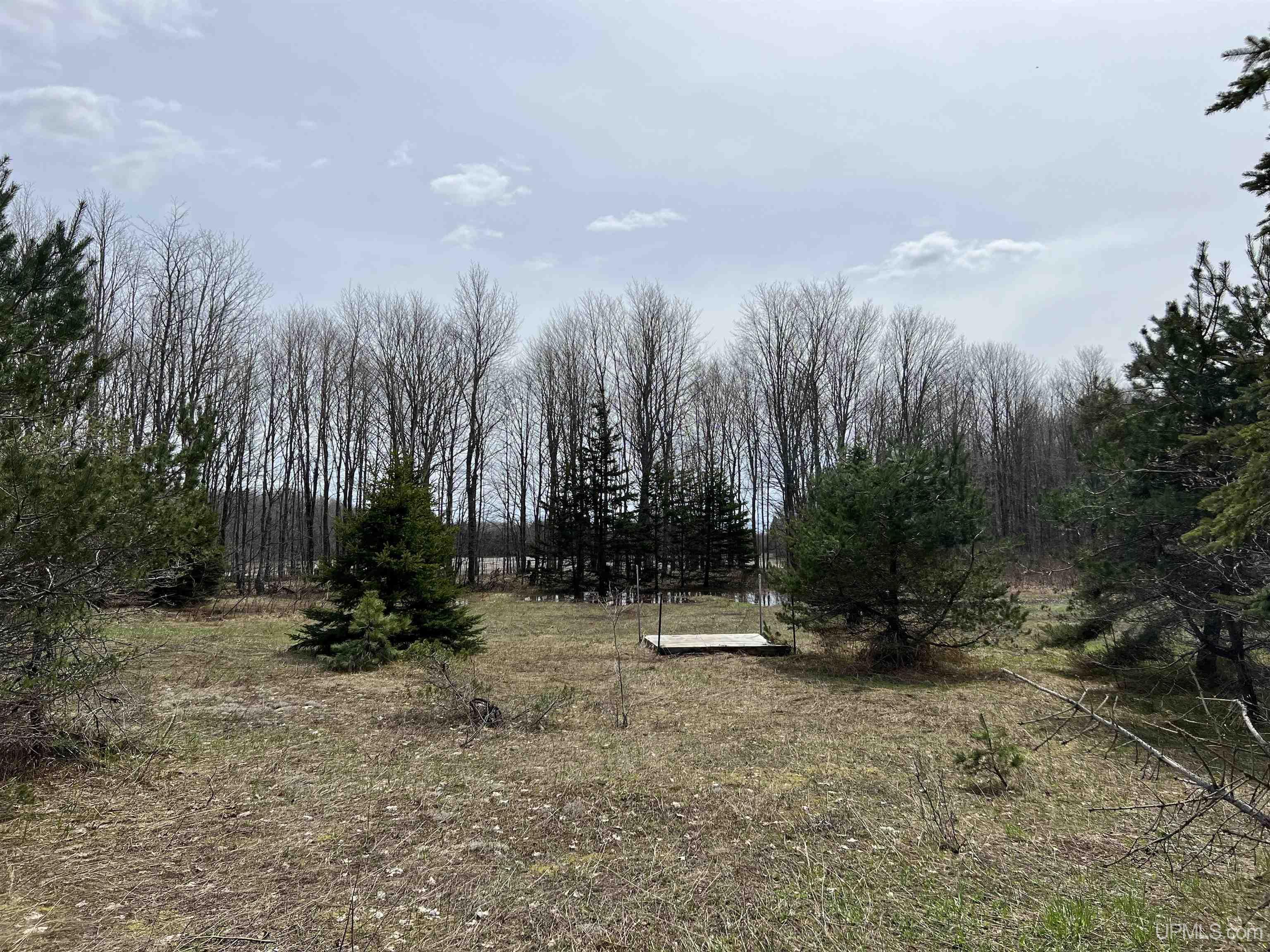 H58 St Shingleton Mi 49895 Shingleton, MI 49884 - Photo 6 of 21