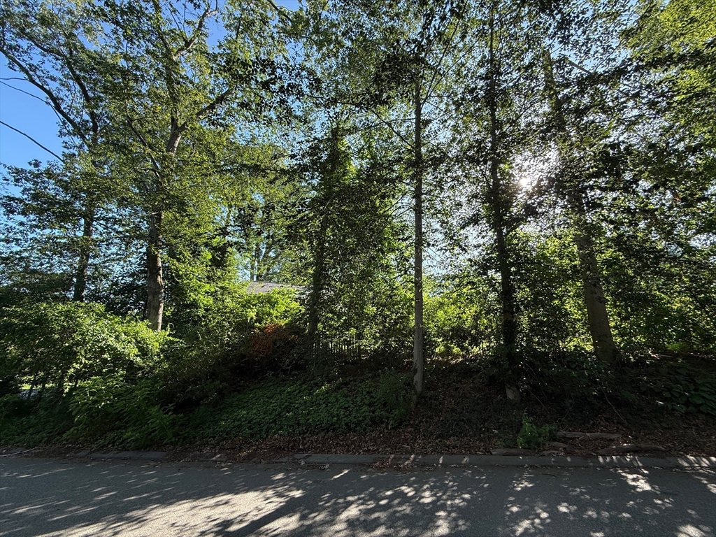 26 Pine Ridge Road Wayland, MA 01778 - Photo 27 of 29