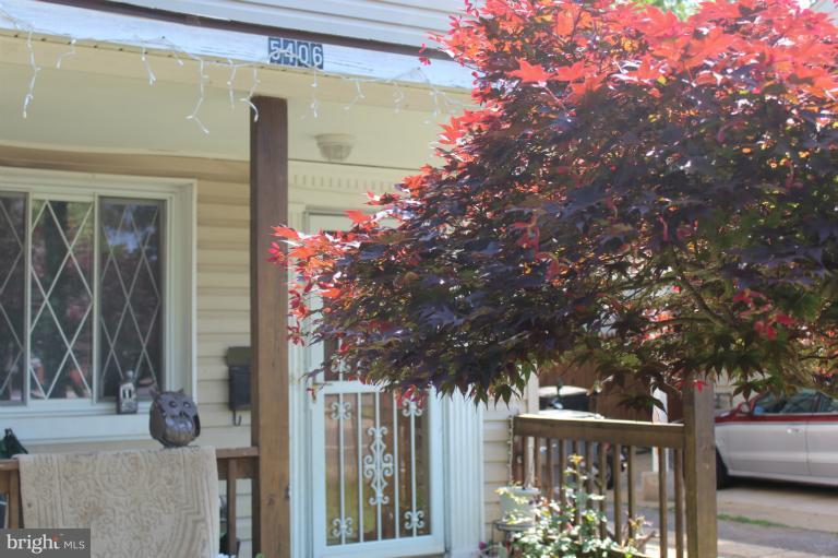 5406 7th Road South Arlington, VA 22204 - Photo 1 of 23 Exterior (General)