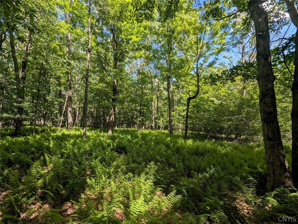 537 Maple Road West Union, NY 14877 - Photo 30 of 50