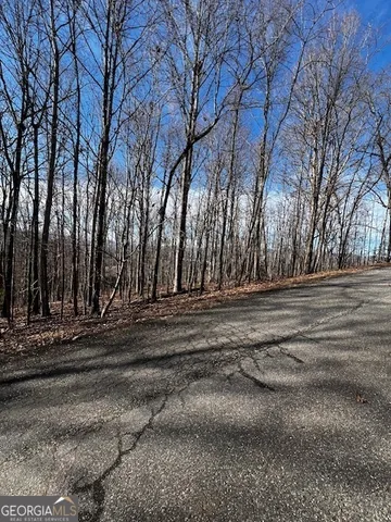 $45,000 | Lot 54 Sunny View Drive, Blairsville, GA 30512
