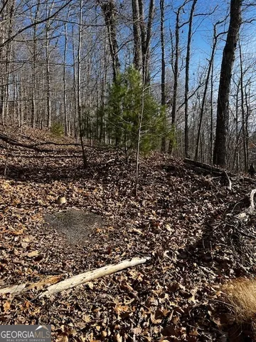 $45,000 | Lot 54 Sunny View Drive, Blairsville, GA 30512