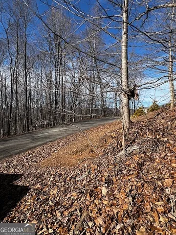 $45,000 | Lot 54 Sunny View Drive, Blairsville, GA 30512