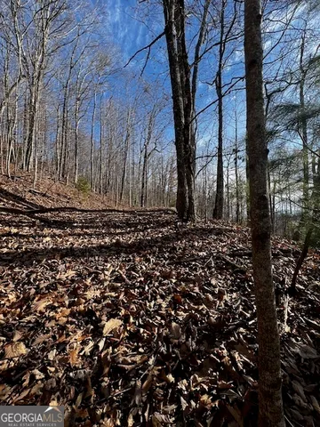 $45,000 | Lot 54 Sunny View Drive, Blairsville, GA 30512