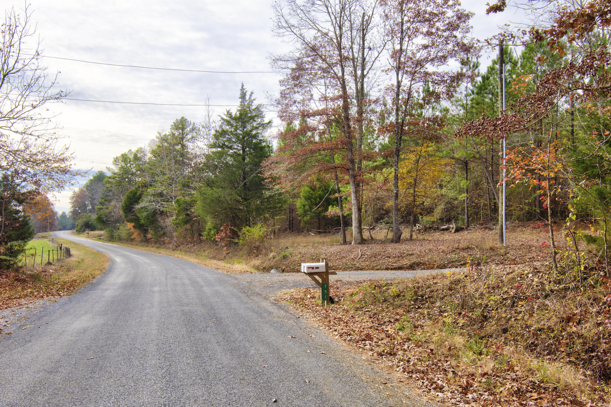 751 Rynes Road Decatur, TN 37322 - Photo 33 of 38 751 Rynes Rd. 29