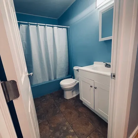 a bathroom with a sink a toilet and a mirror