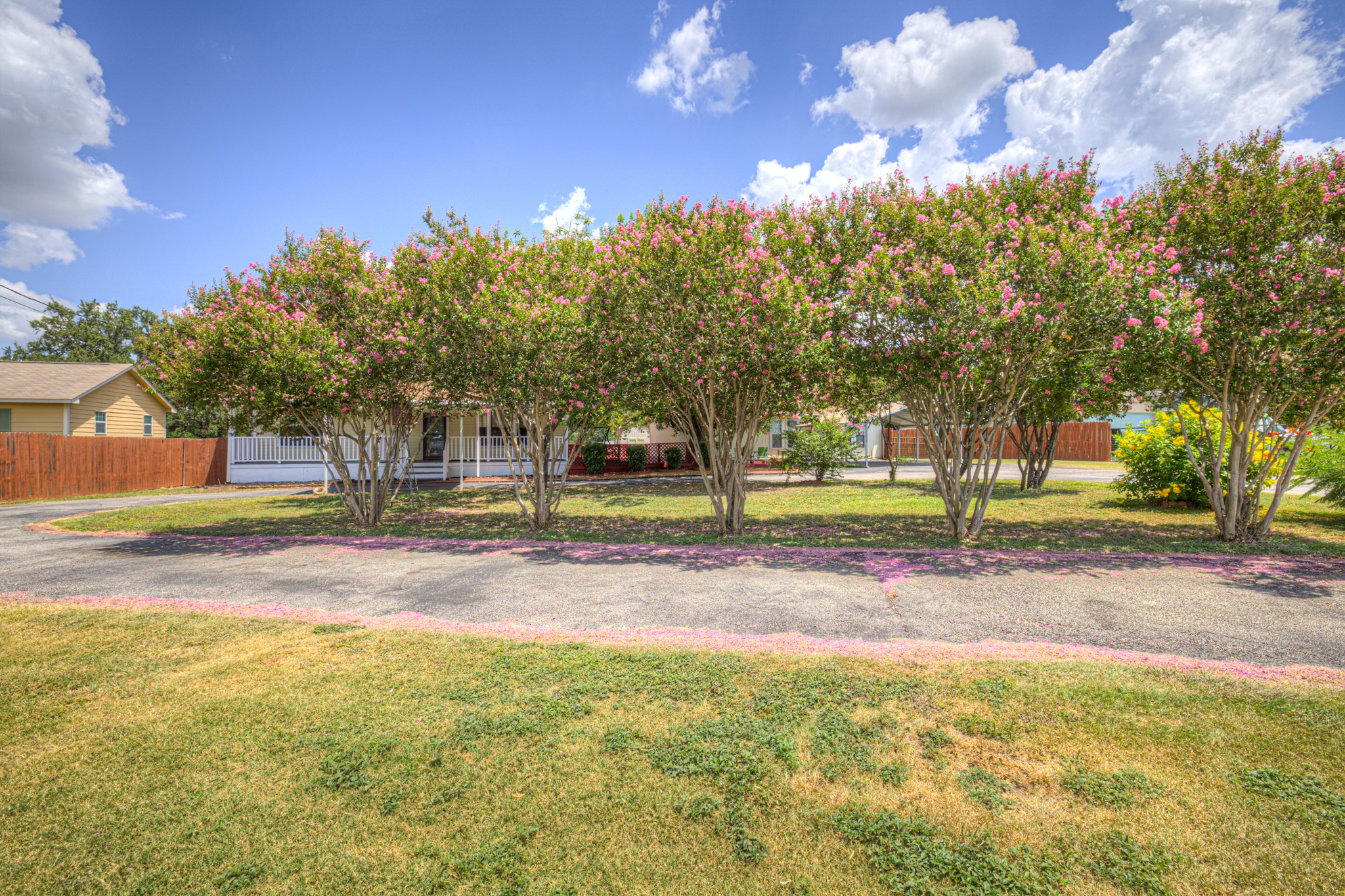 580 East Zipp Road New Braunfels, TX 78130 - Photo 43 of 45 Beautiful Crepe Myrtles line the drive to give home privacy