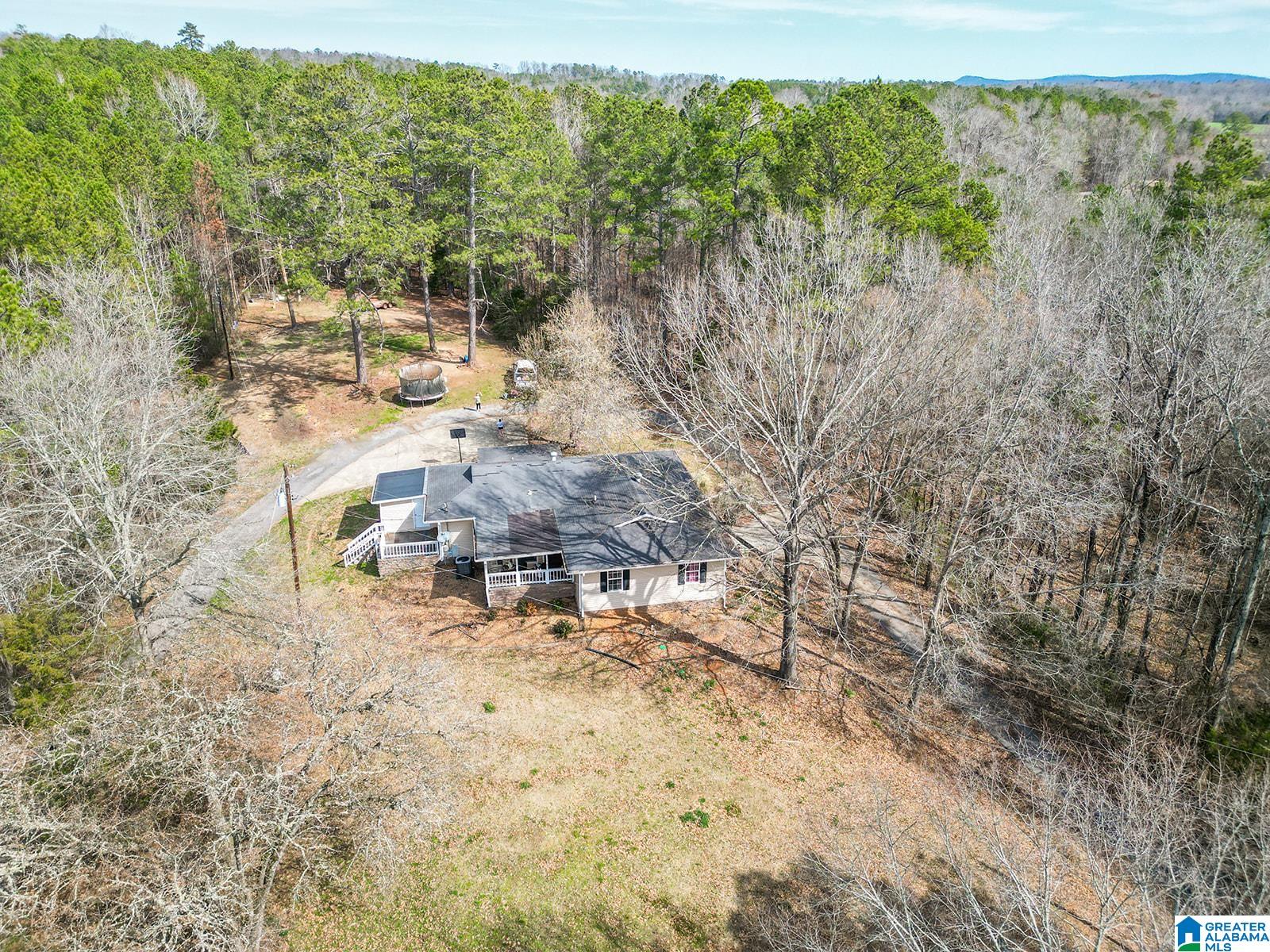 2126 Cedar Springs Road Jacksonville, AL 36265 - Photo 1 of 44