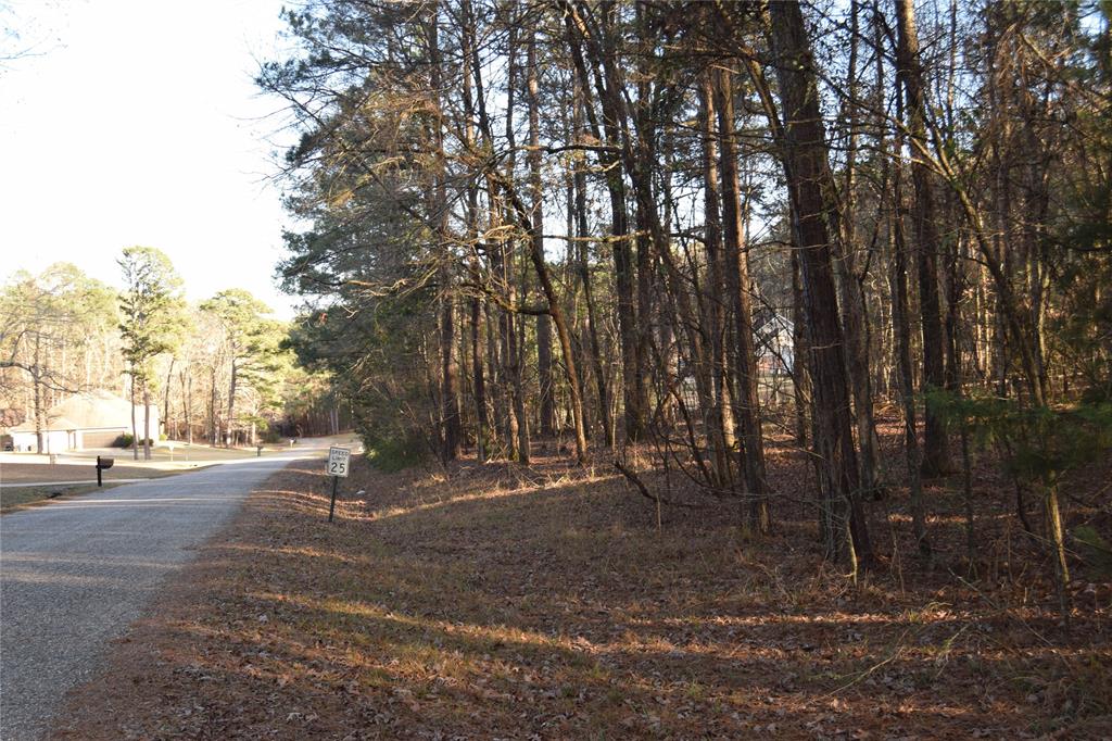 Lot #41 Timberlane Drive Minden, LA 71055 - Photo 2 of 9 a view of a park with large trees