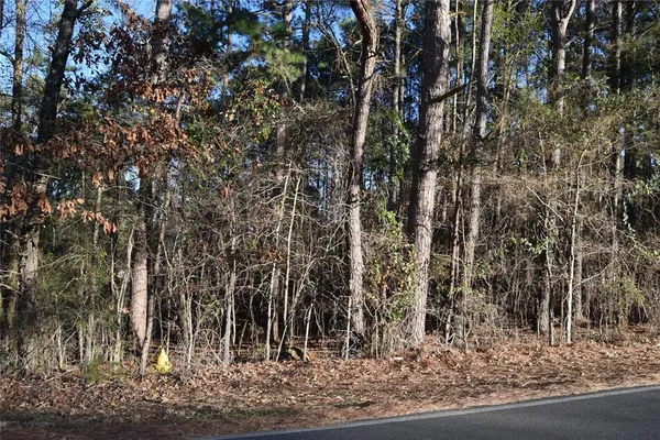 a view of a field with trees in front of it