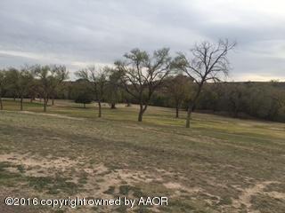 19410 Mockingbird Road Canyon, TX 79015 - Photo 36 of 38 IMG_0457