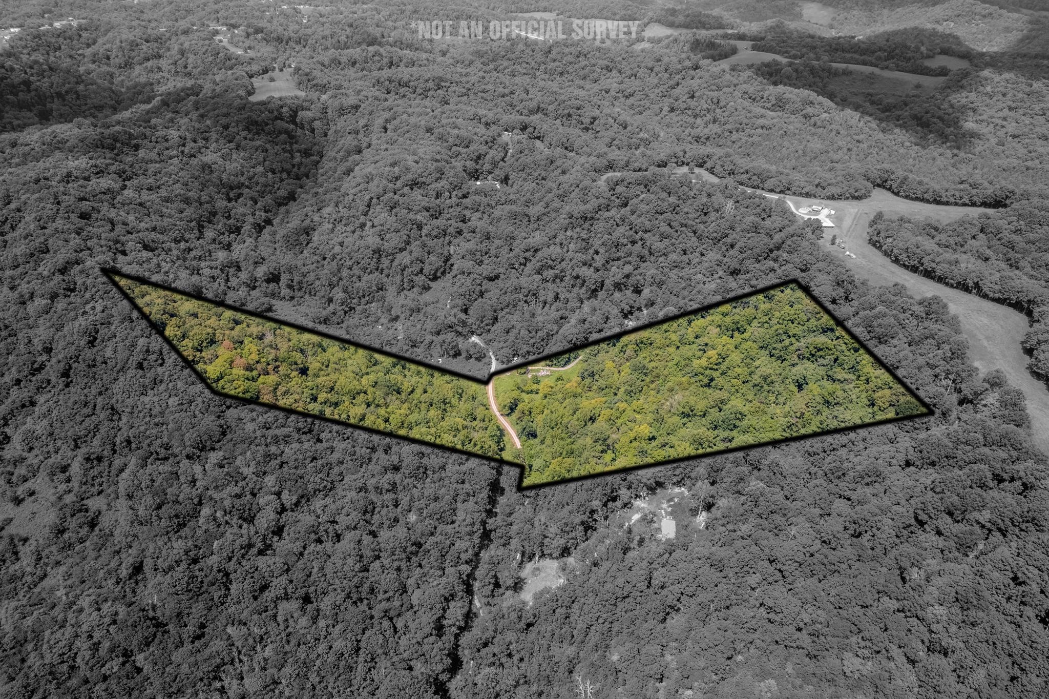0 Watts Hollow Road Buffalo Valley, TN 38548 - Photo 1 of 16 a view of a outdoor space