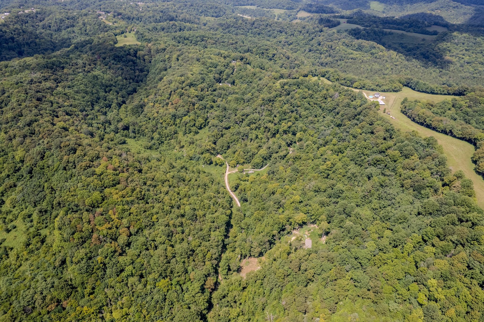 0 Watts Hollow Road Buffalo Valley, TN 38548 - Photo 12 of 16 a view of a bunch of trees with a tree