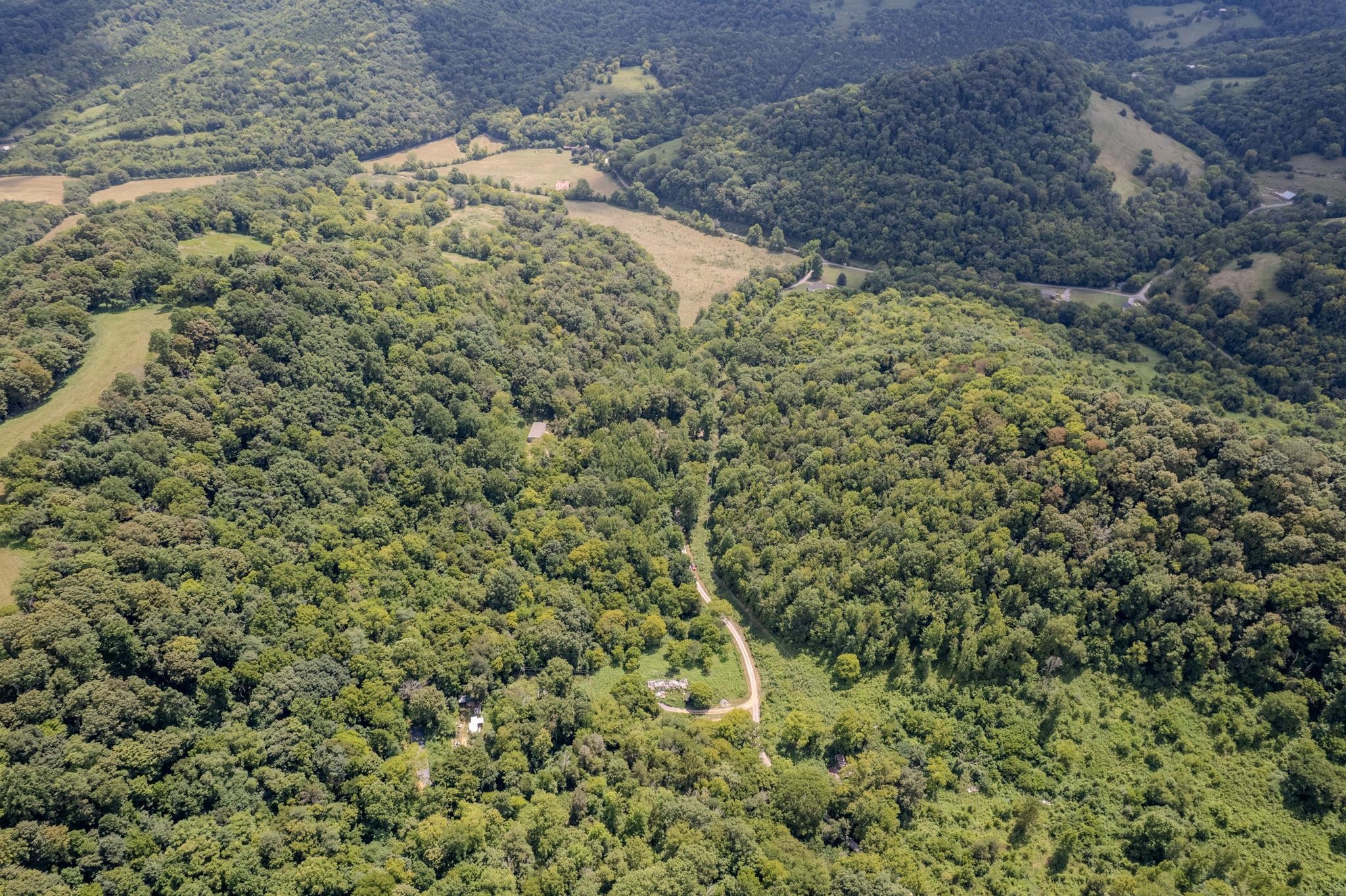 0 Watts Hollow Road Buffalo Valley, TN 38548 - Photo 14 of 16 a view of a yard with a plant