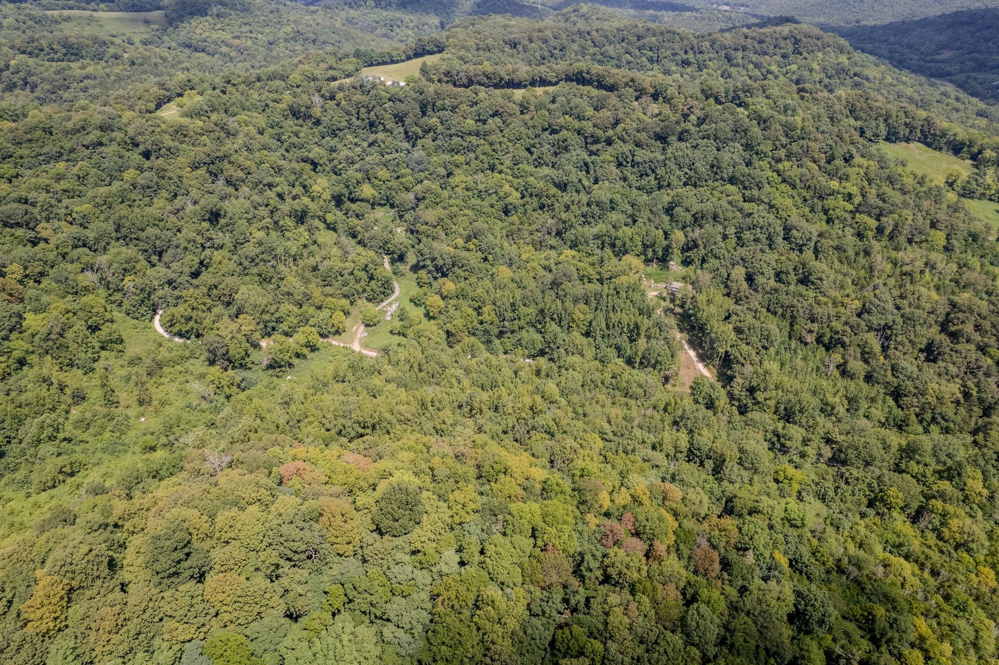 0 Watts Hollow Road Buffalo Valley, TN 38548 - Photo 16 of 16 a view of a field