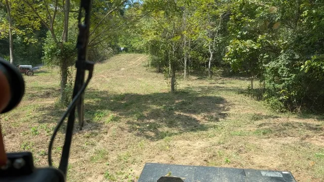 a view of backyard with green space