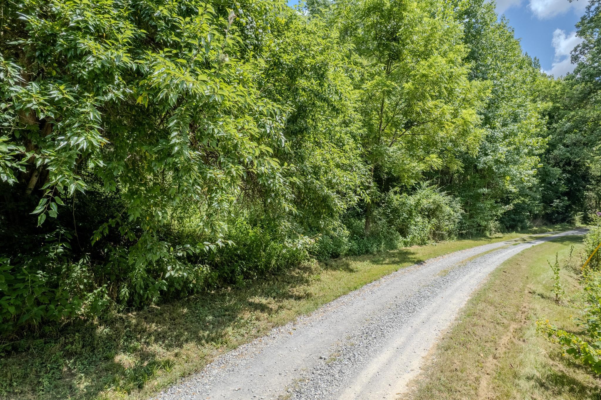 0 Watts Hollow Road Buffalo Valley, TN 38548 - Photo 8 of 16 a view of a yard with plants