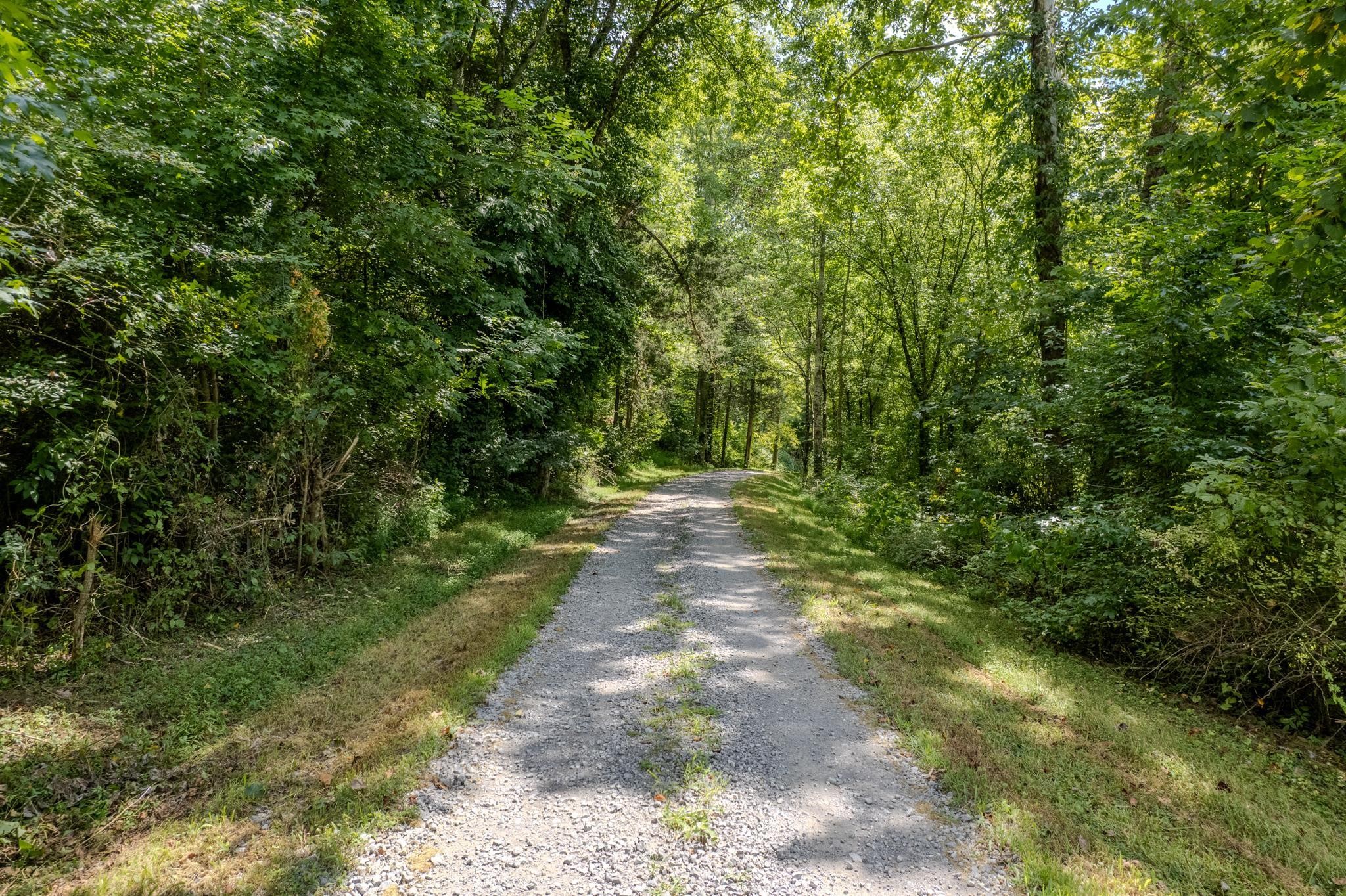 0 Watts Hollow Road Buffalo Valley, TN 38548 - Photo 9 of 16 a view of a pathway both side of yard