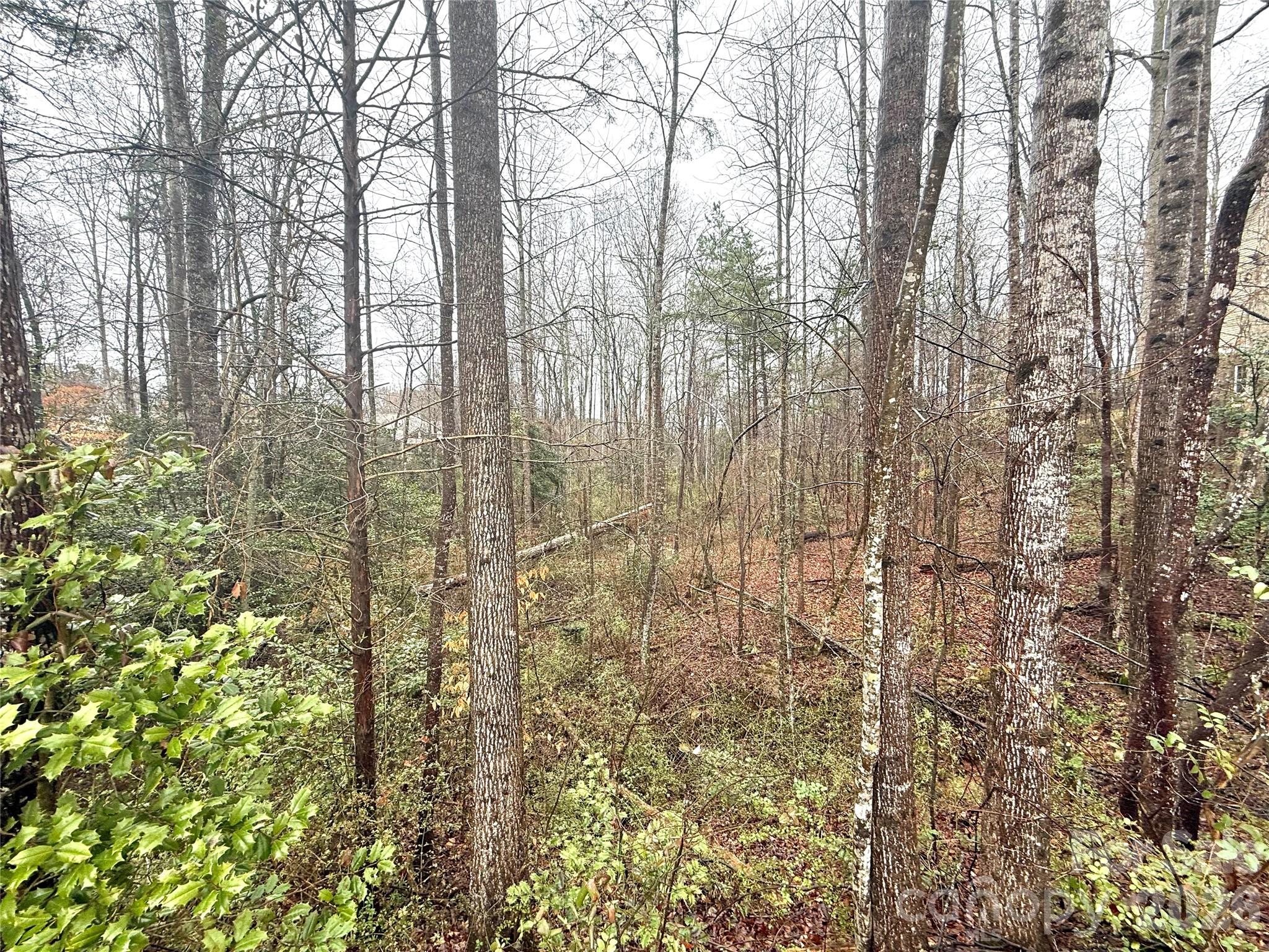 5136 Mark Drive Northeast Hickory, NC 28601 - Photo 3 of 12