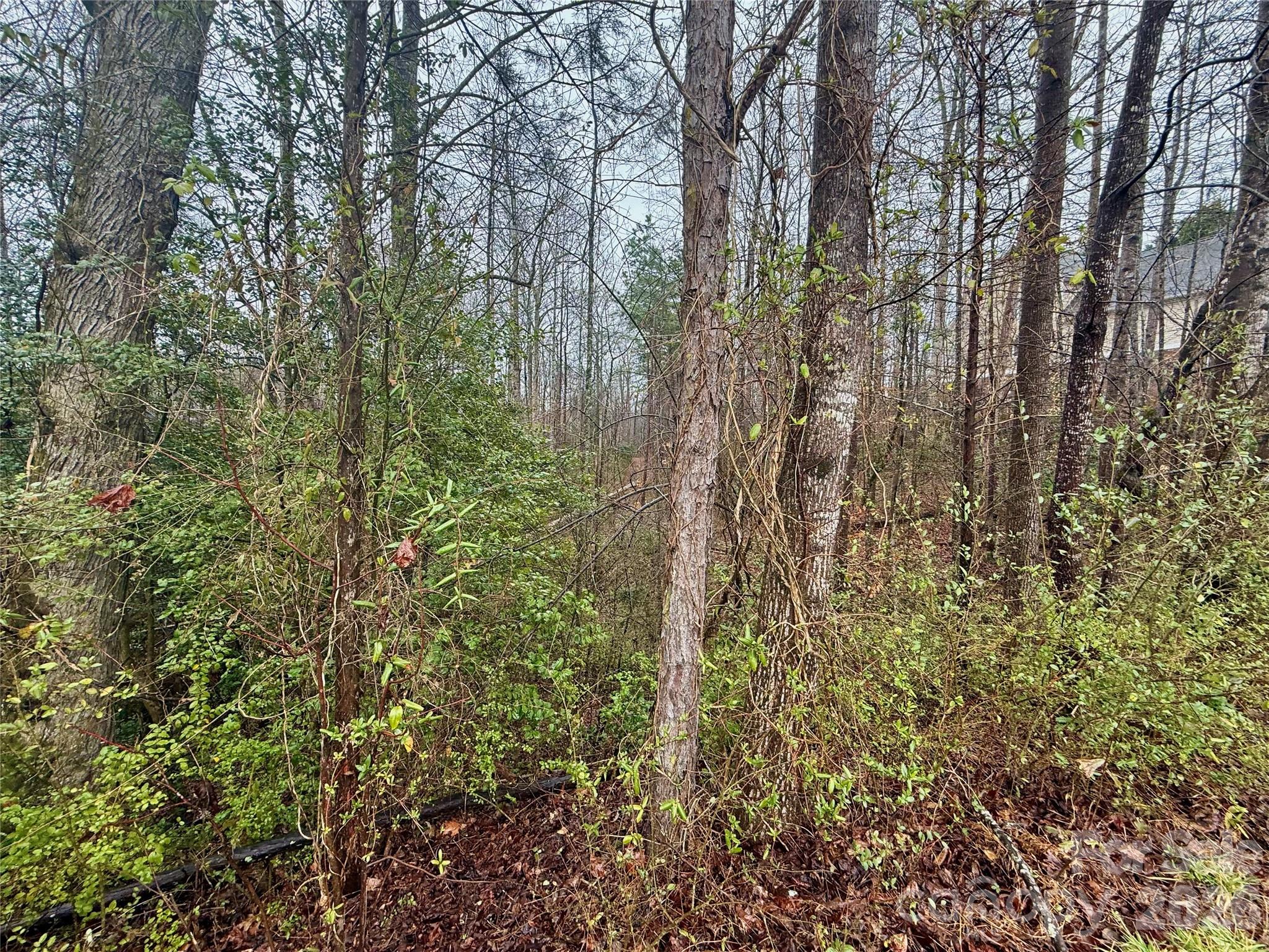 5136 Mark Drive Northeast Hickory, NC 28601 - Photo 5 of 12