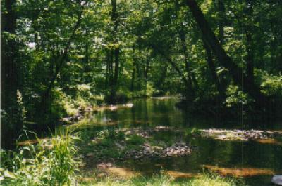 835 South Hoch Road Bath, PA 18014 - Photo 8 of 13 oh man !!!! Stocked every year w trout and a joy to have as an owner, tranquil and serene. I would be here every summer night with my family to play :o) It is in fact the Hockey Creek