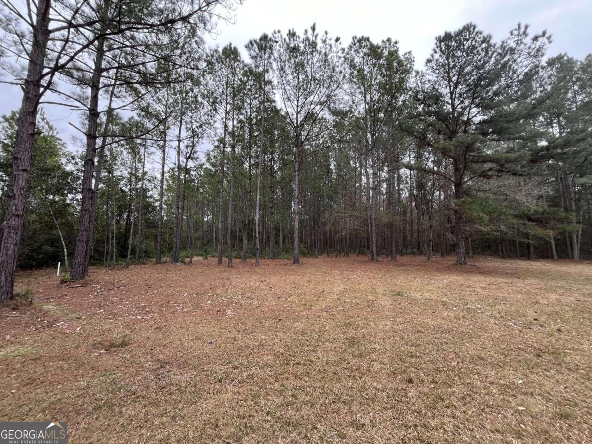 0 John Wells Road Hinesville, GA 31313 - Photo 1 of 1 Gallery Image 1