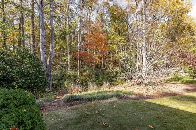 a view of a yard with a tree